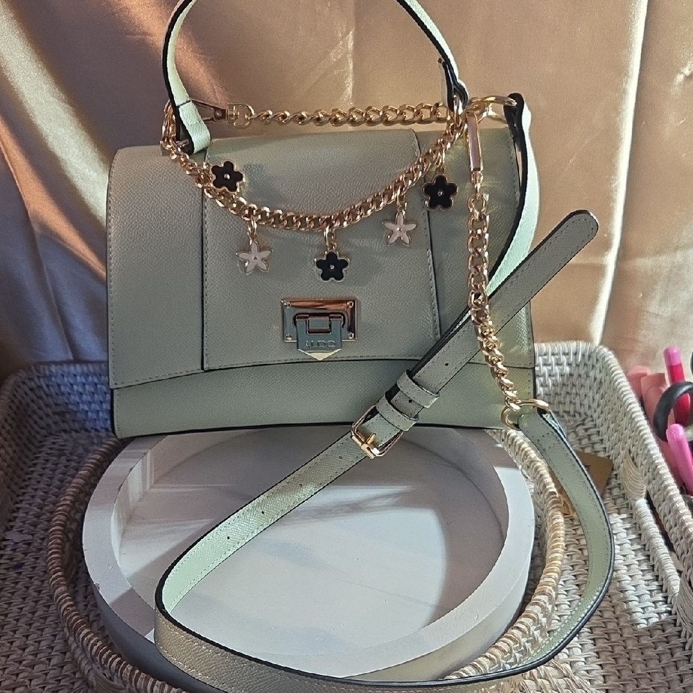 Aldo Mint Green Crossbody Bag with Gold Chain Accents